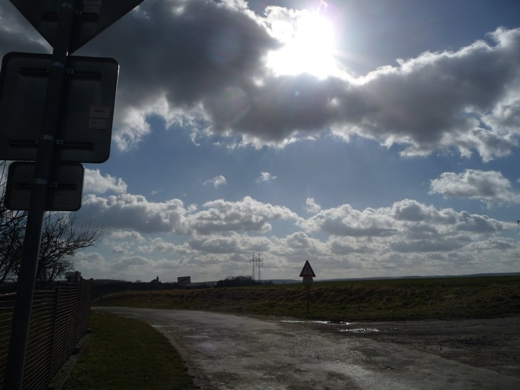 Třibřichy