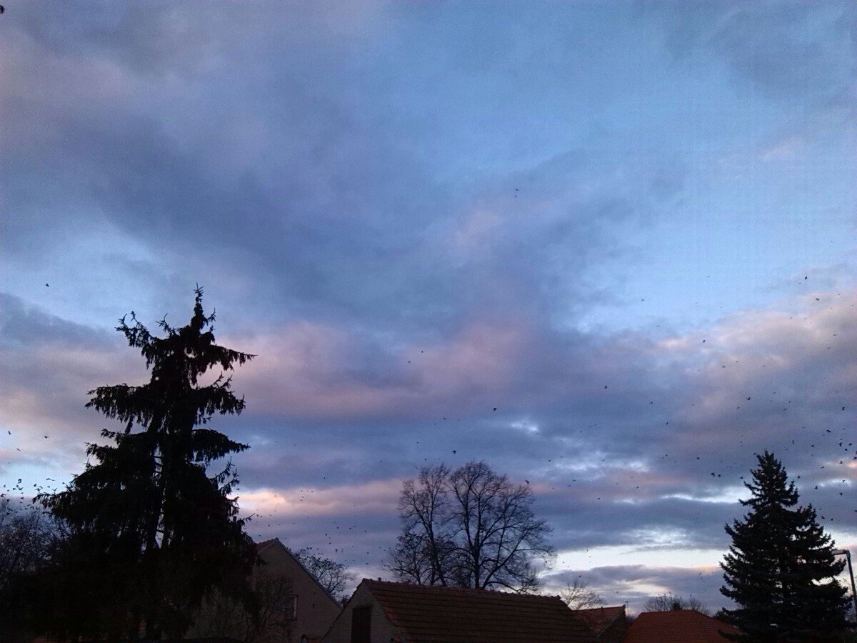 Nymburk