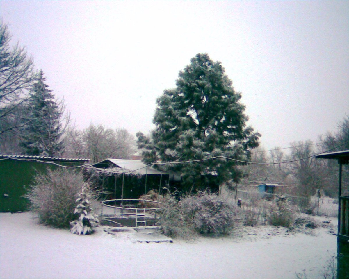 Štědrá