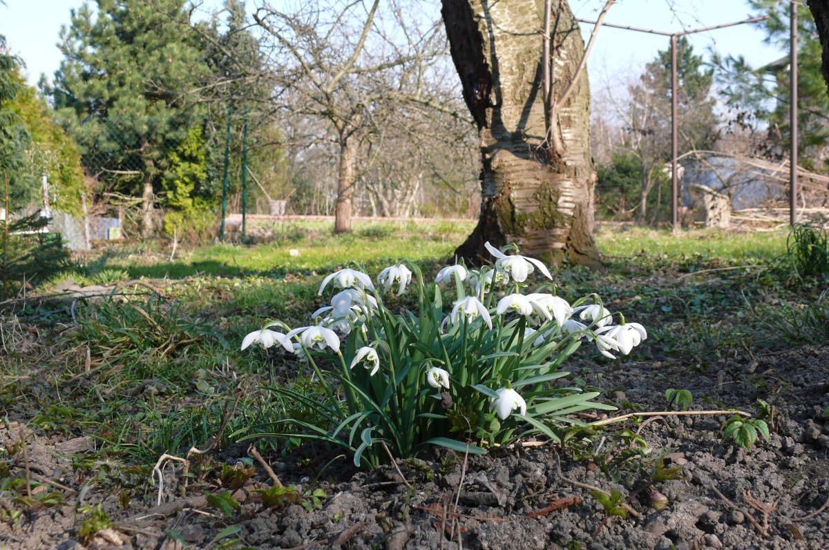 Hradec Králové
