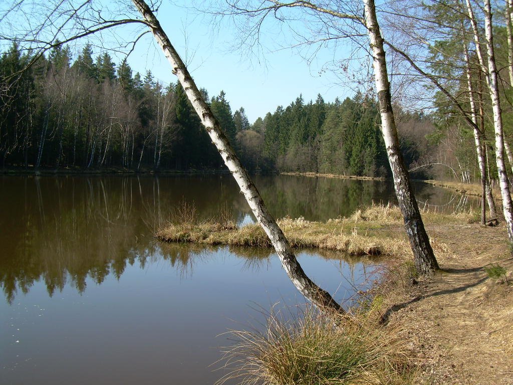 České Velenice
