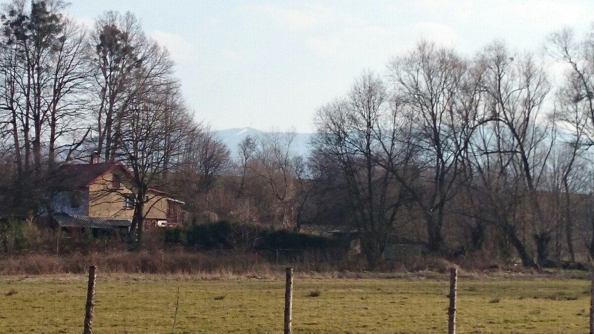 Ropice