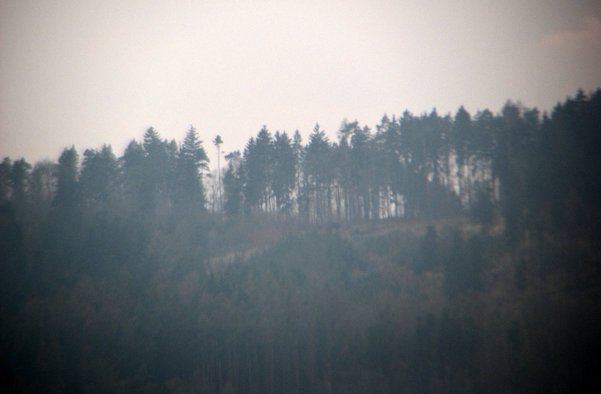 Blansko