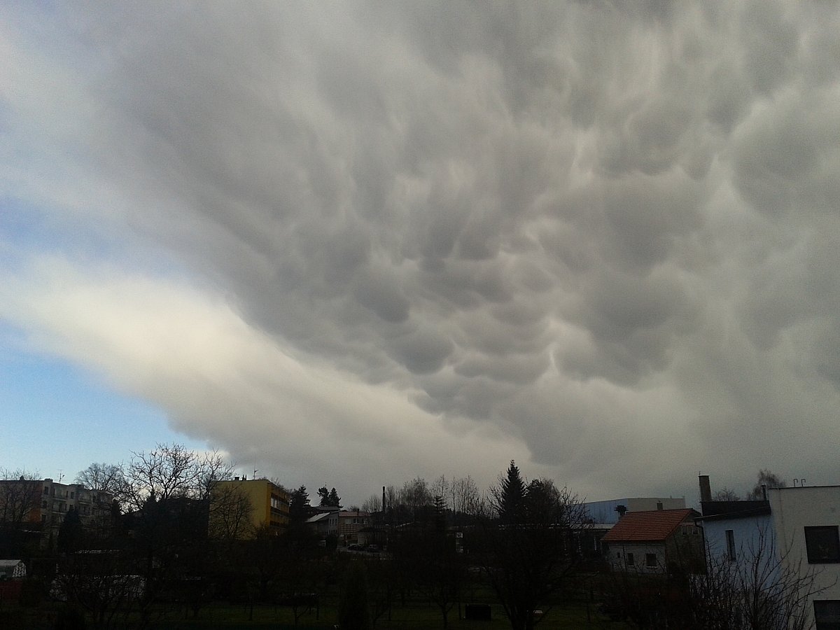Hořice - Libonice