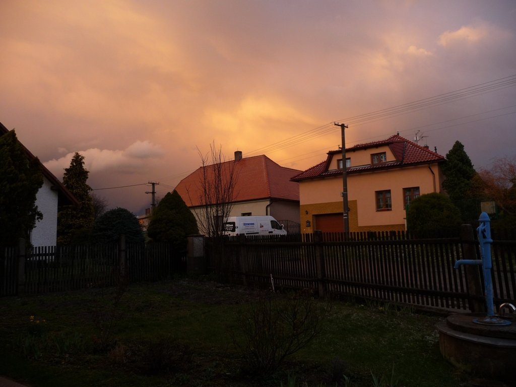 Třibřichy