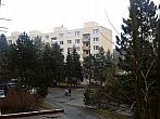 Borovina