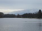 Neratovice