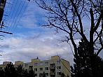 Borovina