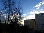 Borovina
