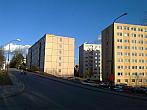 Borovina