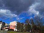 Borovina