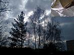 Borovina