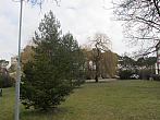 Neratovice