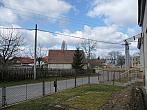 Třibřichy