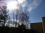 Borovina