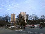 Borovina