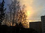 Borovina