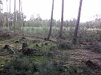 Dubí - Bystřice