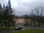 Borovina