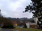 Borovina