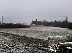 Borovina