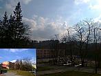 Borovina