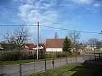 Třibřichy