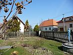 Třibřichy