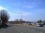 Borovina