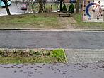 Borovina