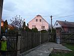Třibřichy