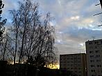 Borovina