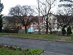 Borovina