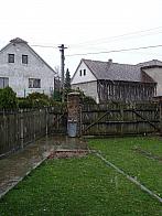 Třibřichy