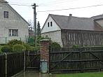 Třibřichy
