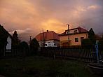 Třibřichy