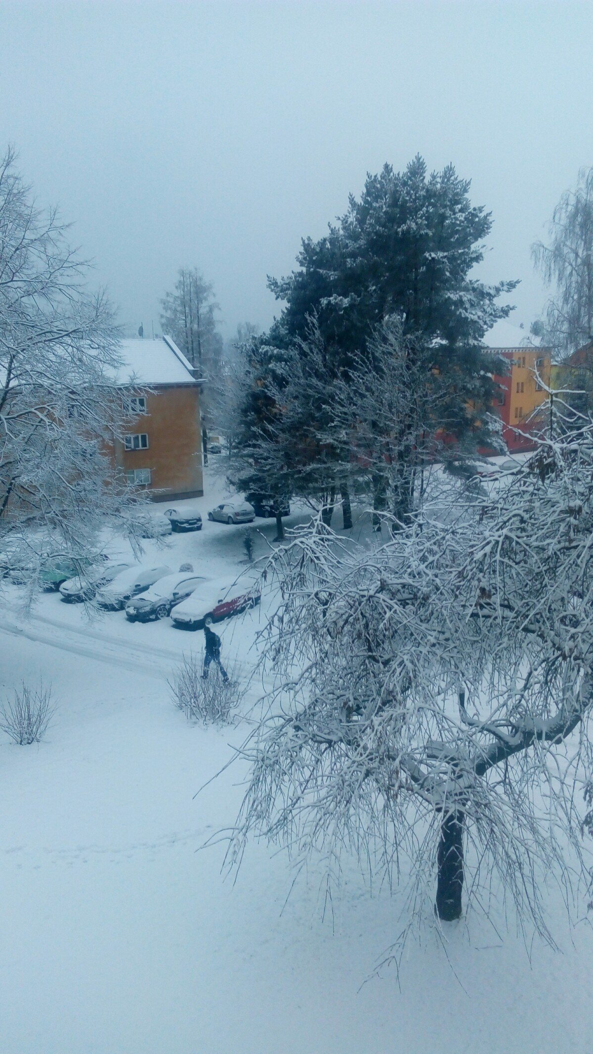 Ždár nad Sázavou