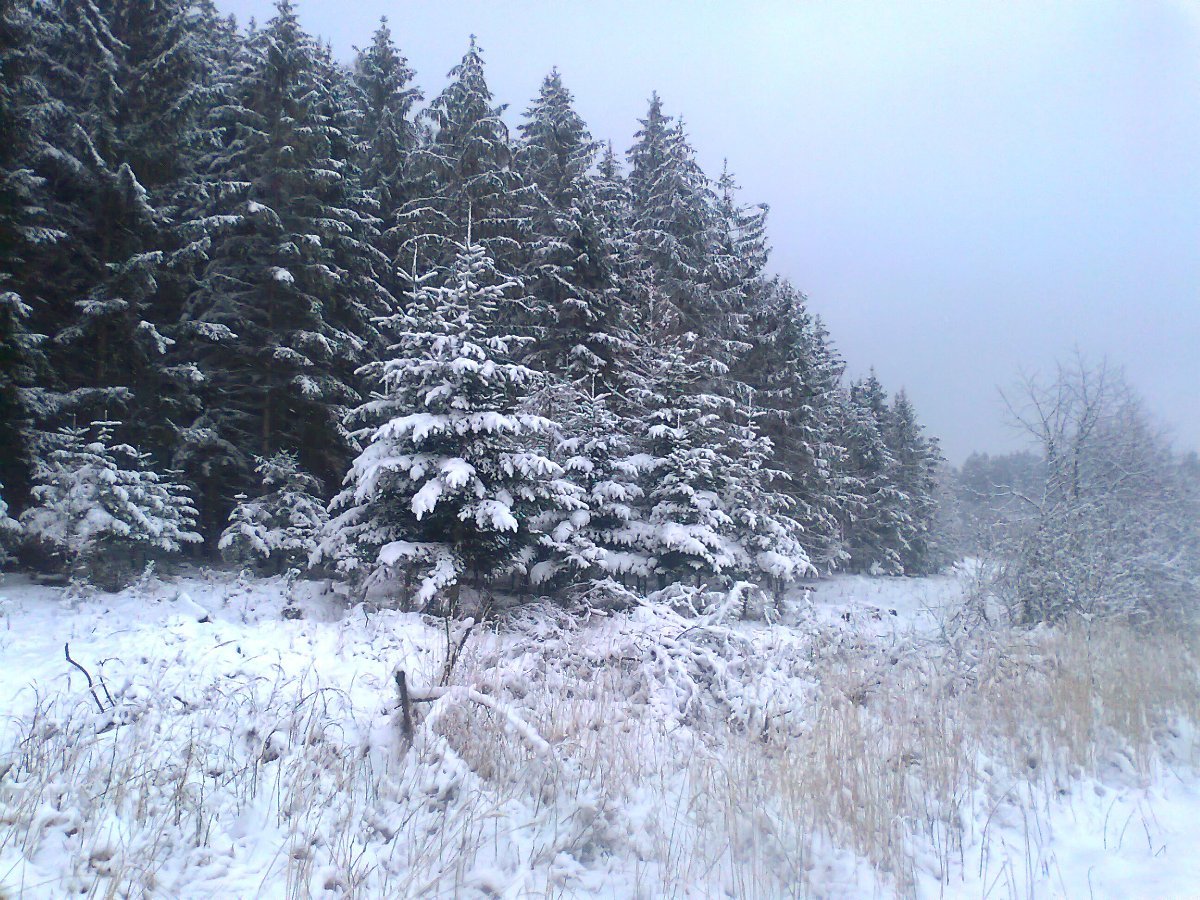 Rokytnice nad Rokytnou