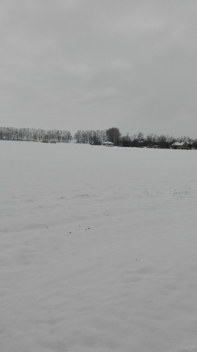 Chrudim(Vlčnov)