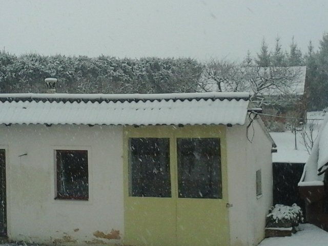 Blovice