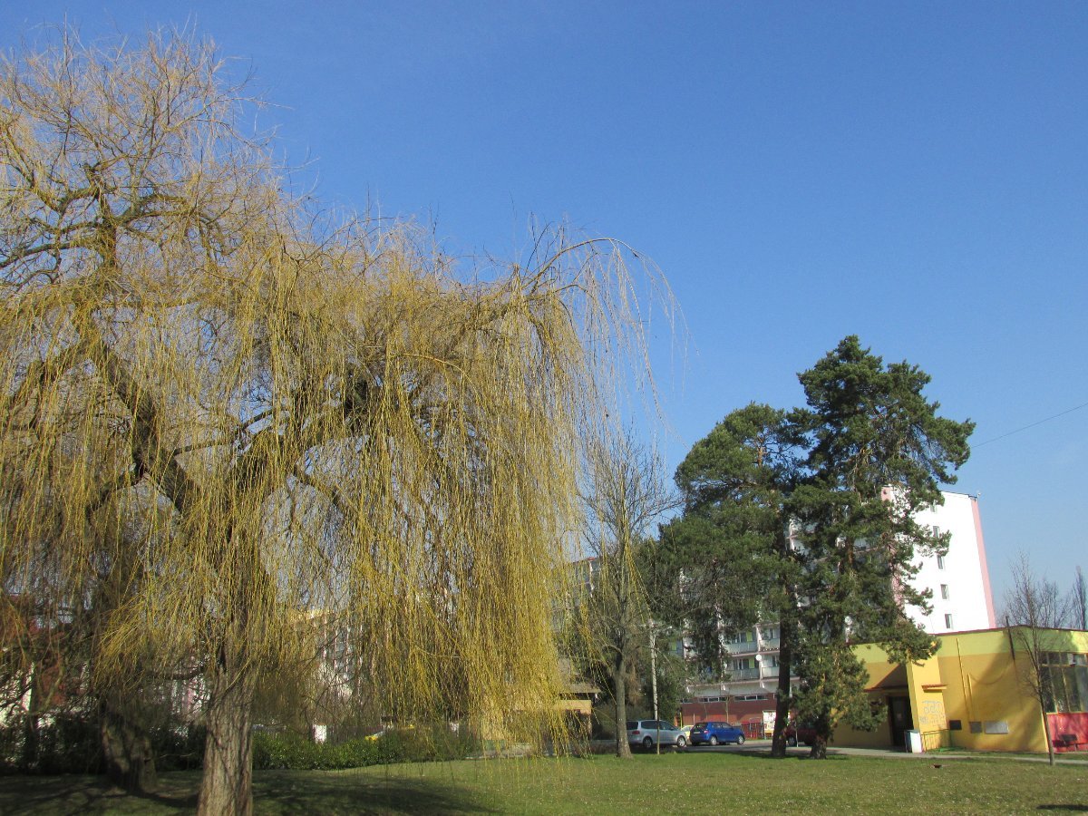 Neratovice