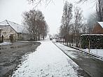 Třibřichy