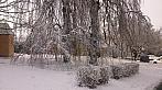 Tachov