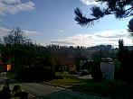 Borovina