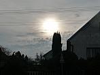 Třibřichy