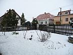 Třibřichy