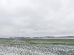 Hostákov