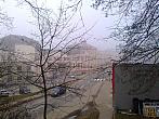 Borovina
