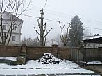 Třibřichy