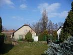 Třibřichy